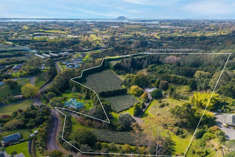 Photo of property in 93 Te Puna Quarry Road, Minden, Tauranga, 3179
