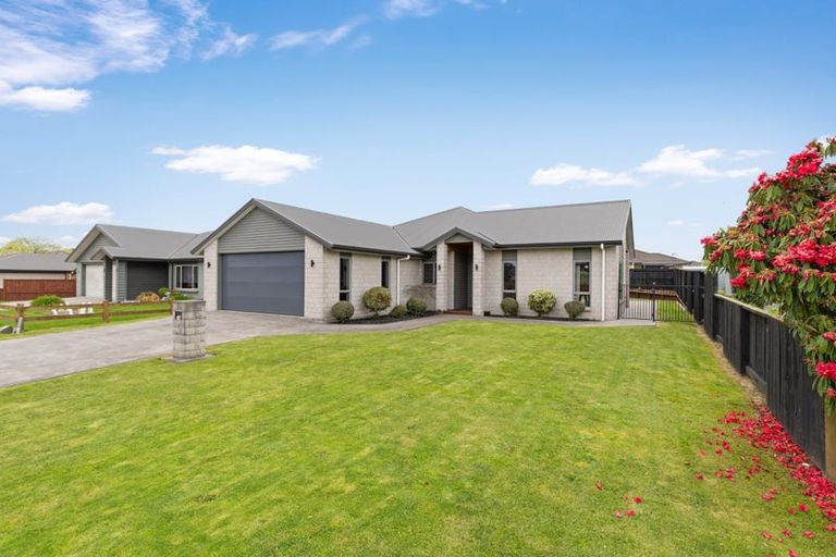 Photo of property in 78 Station Road, Matamata, 3400