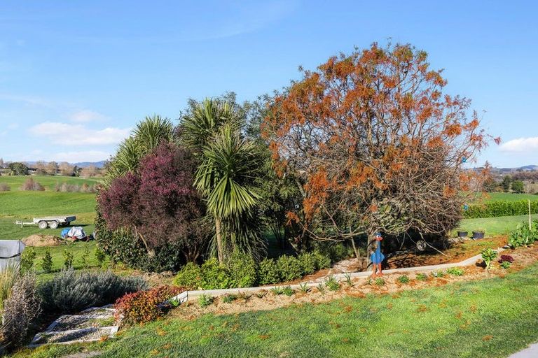 Photo of property in 25 Headlands Drive, Te Awamutu, 3875