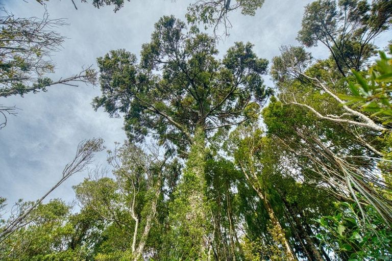 Photo of property in 53b Rutherglen Road, Rutherglen, Greymouth, 7805