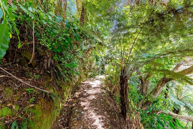 Photo of property in 31 Austin Road, Greenhithe, Auckland, 0632