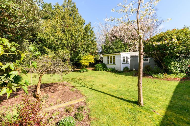 Photo of property in 195 The Terrace, Ashhurst, 4810