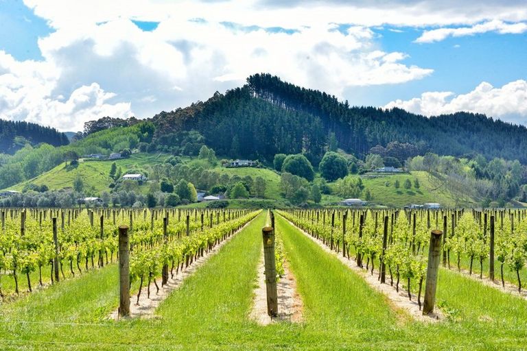 Photo of property in 209 Lake Road, Waituhi, Gisborne, 4072