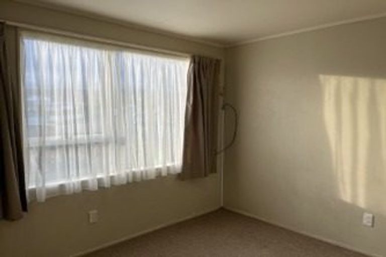 Photo of property in 91 Strathmore Avenue, Levin, 5510