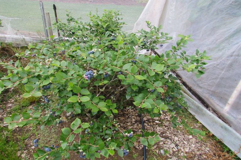 Photo of property in 71c Keri Downs Road, Kerikeri, 0294