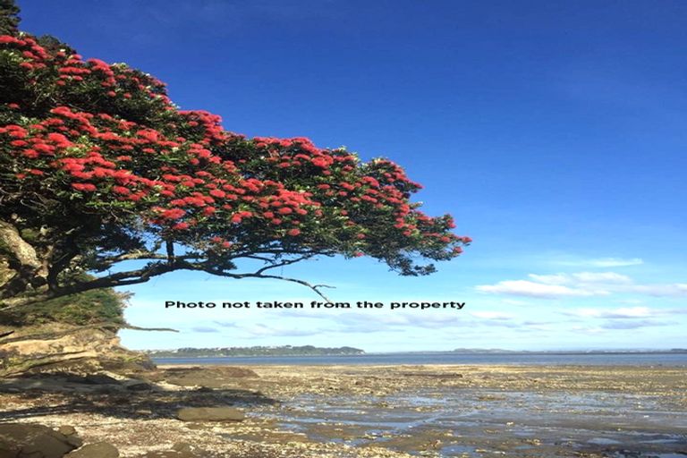 Photo of property in 73 Takahe Road, Titirangi, Auckland, 0604