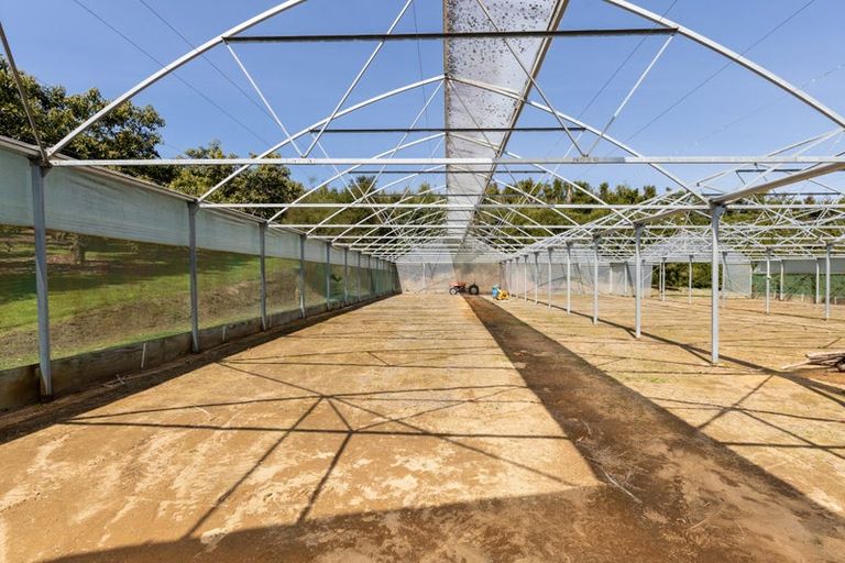 Photo of property in 286a Woodland Road, Tahawai, Katikati, 3170