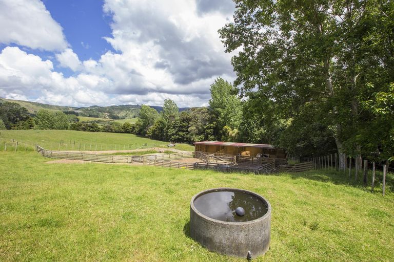 Photo of property in 64 Dennis Road, Kaipara Flats, Warkworth, 0981