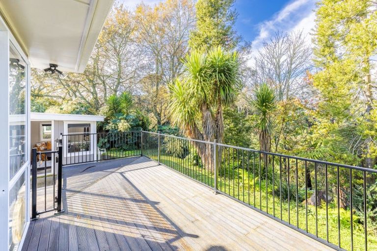 Photo of property in 9b Murray Street, Maeroa, Hamilton, 3200