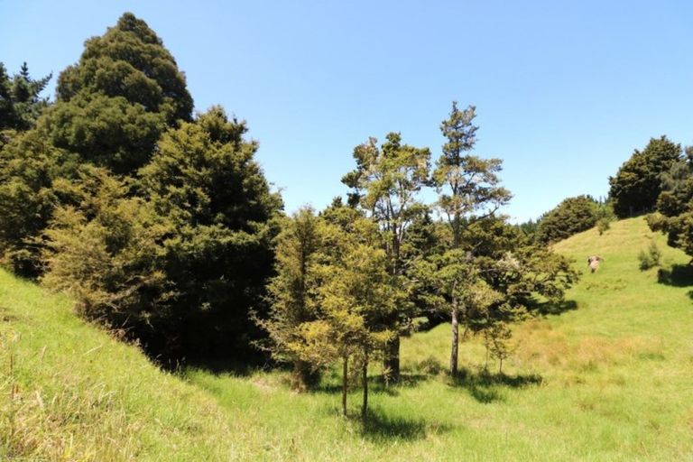 Photo of property in 847 Pekerau Road, Lake Ohia, Kaitaia, 0483