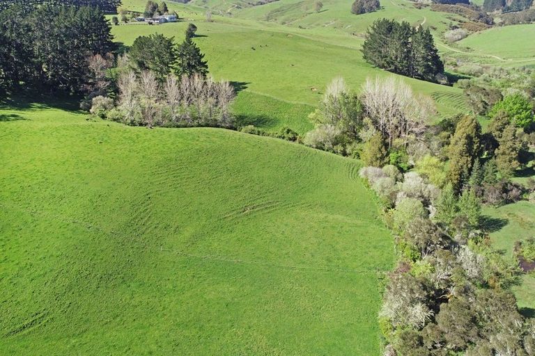 Photo of property in 202 Gelling Road, Hunua, Papakura, 2583