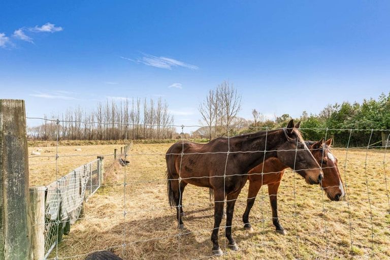 Photo of property in 21 Grant Street, Temuka, 7920