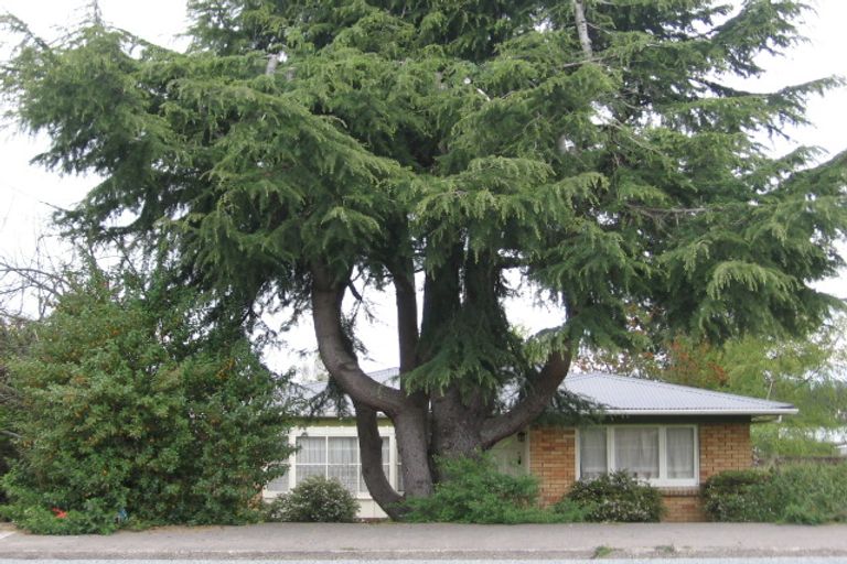 Photo of property in 166 Clayton Road, Mangakakahi, Rotorua, 3015