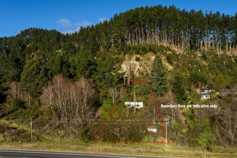 Photo of property in 60 Gosling Grove, Turangi, 3334