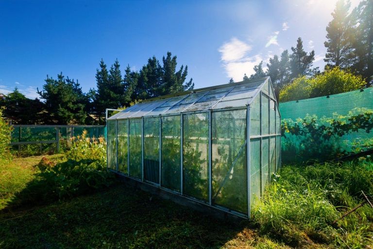 Photo of property in 317 Caseys Road, Blind River, Seddon, 7285