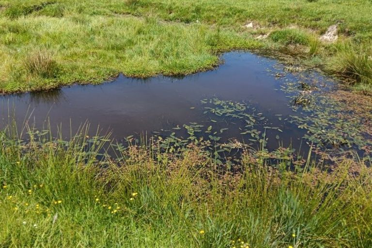 Photo of property in 1839 Tiniroto Road, Waerengaokuri, Manutuke, 4072