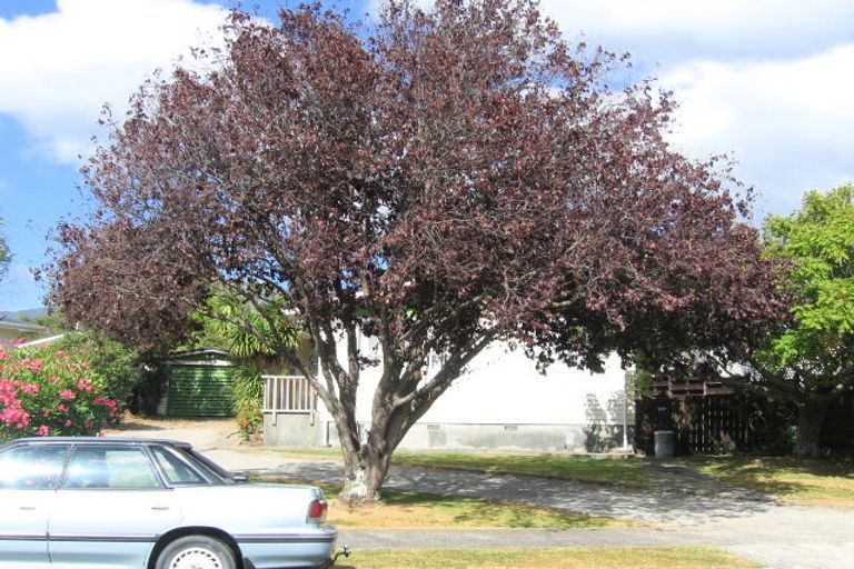 Photo of property in 6 Omaha Grove, Totara Park, Upper Hutt, 5018