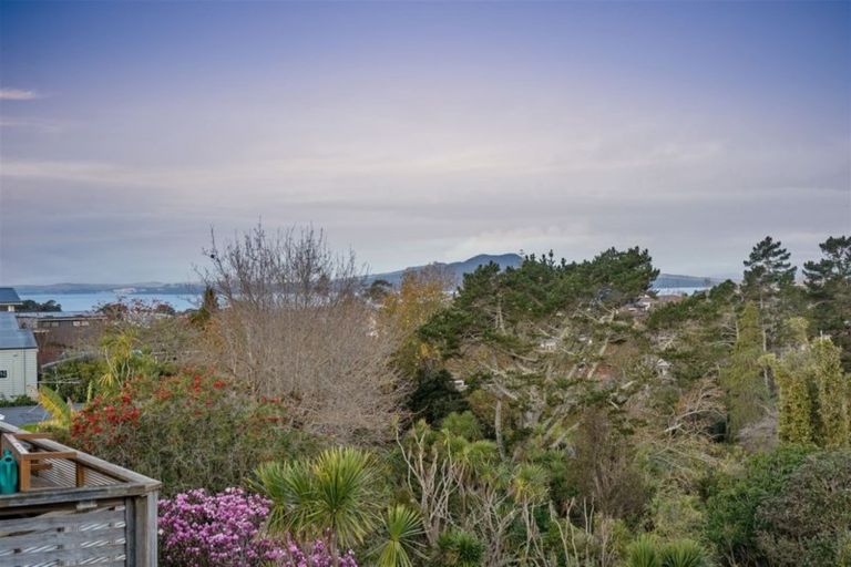 Photo of property in 44 Peter Terrace, Castor Bay, Auckland, 0620