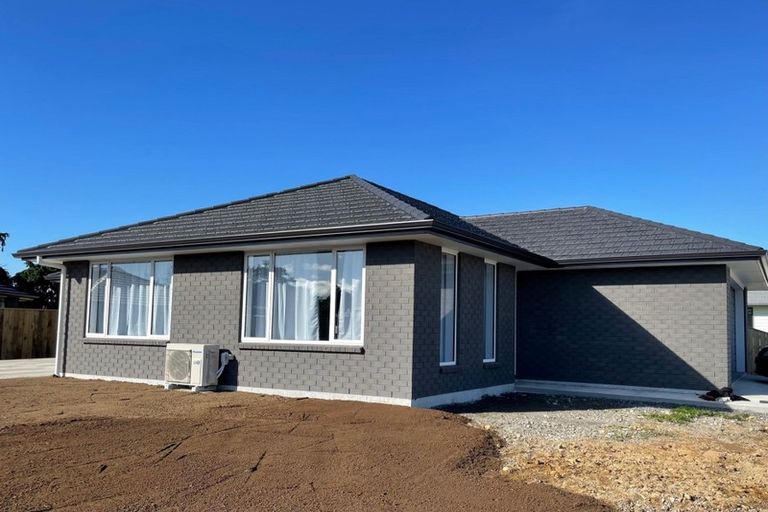 Photo of property in 112 Hinemoa Street, Levin, 5510