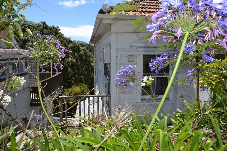 Photo of property in 37 Raroa Road, Kelburn, Wellington, 6012