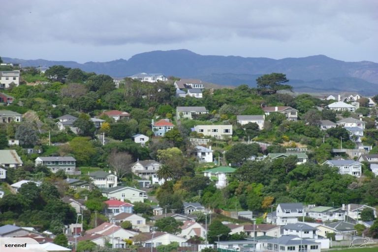 Photo of property in 77a Miramar North Road, Miramar, Wellington, 6022