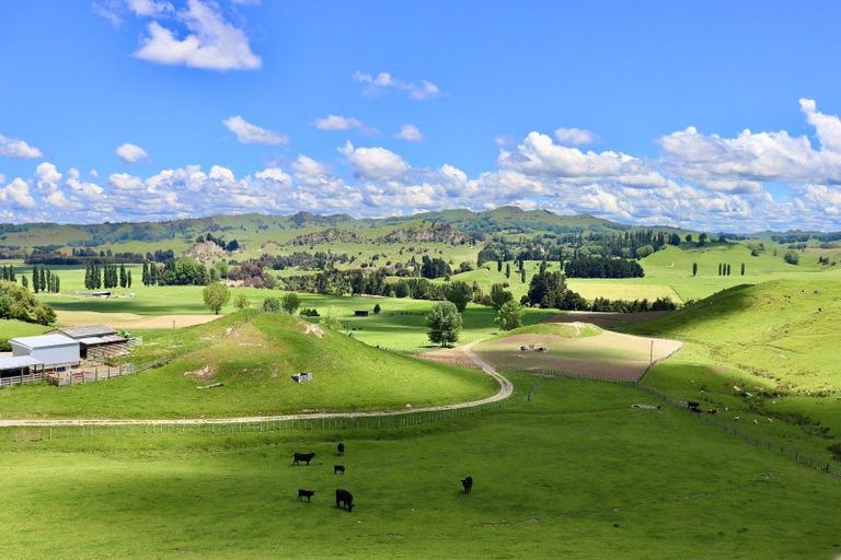 Photo of property in 71 Pukeokahu Road, Taoroa Junction, Taihape, 4793