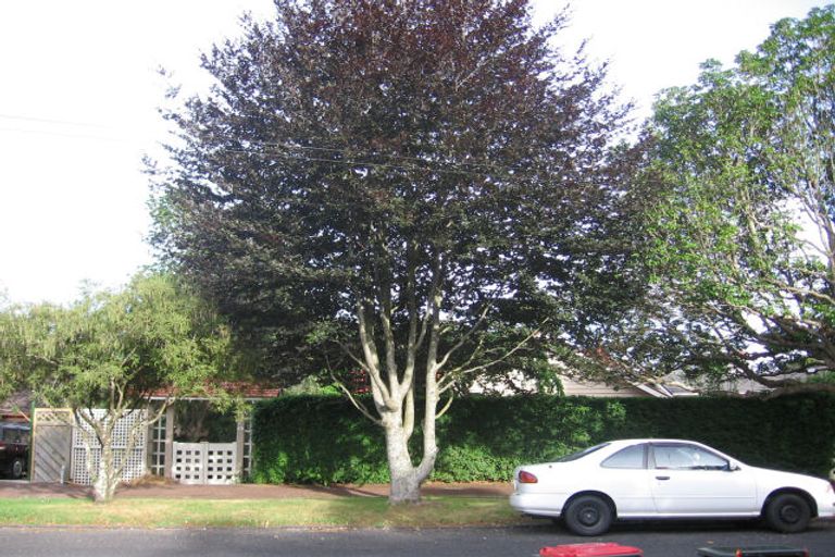 Photo of property in 28 Maungawhau Road, Epsom, Auckland, 1023