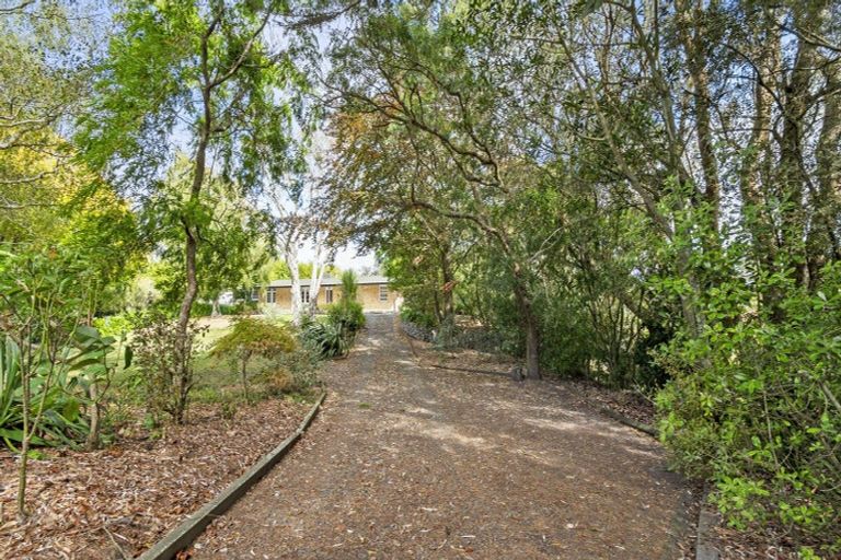 Photo of property in 273 Parewanui Road, Bulls, 4894