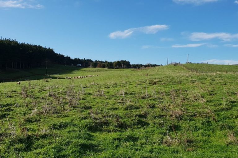 Photo of property in 169 Halliday Road, Waingaro, Ngaruawahia, 3793