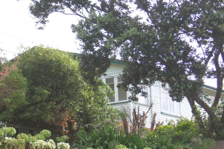 Photo of property in 24 Manuka Street, Miramar, Wellington, 6022