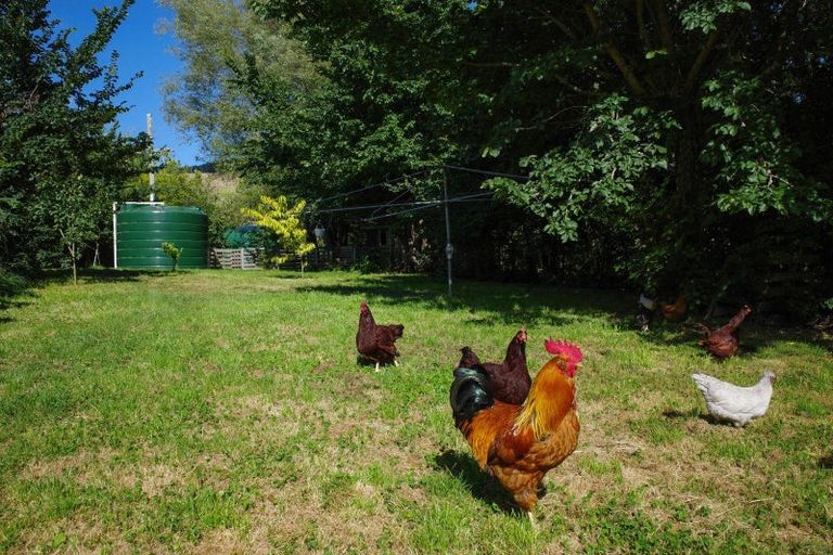 Photo of property in 3345 Weber Road, Weber, Dannevirke, 4970