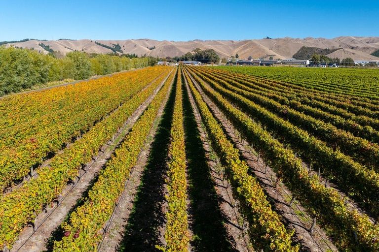 Photo of property in 21a Hardings Road, Riverlands, Blenheim, 7274