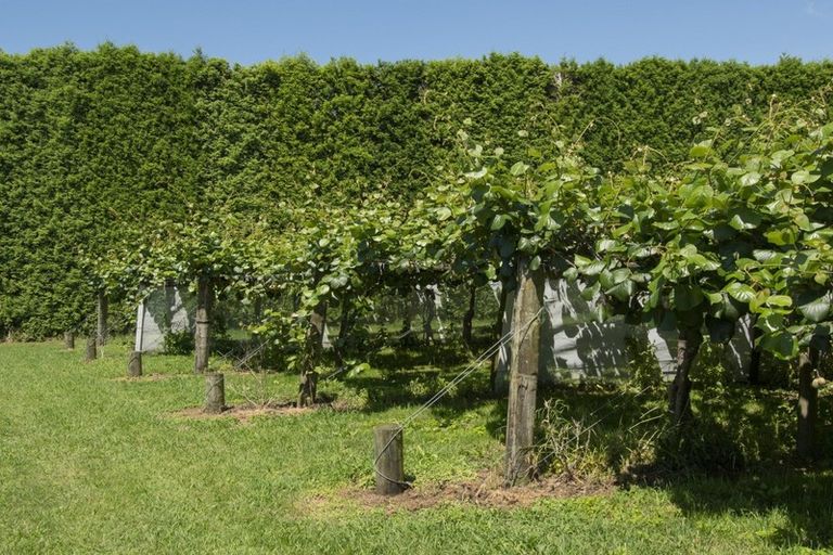 Photo of property in 186 Beach Road, Katikati, 3178