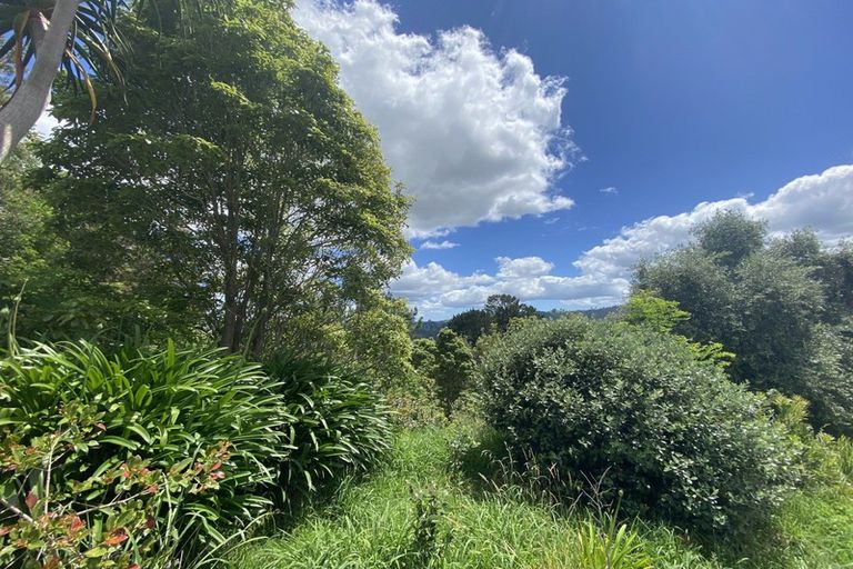 Photo of property in 1579 Tairua Whitianga Road, Whenuakite, Whitianga, 3591