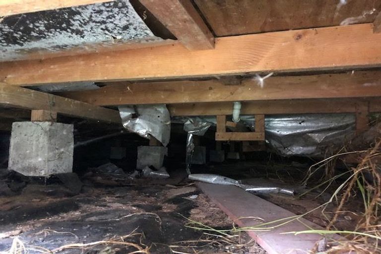 Photo of property in 6 Mako Lane, Paihia, 0200