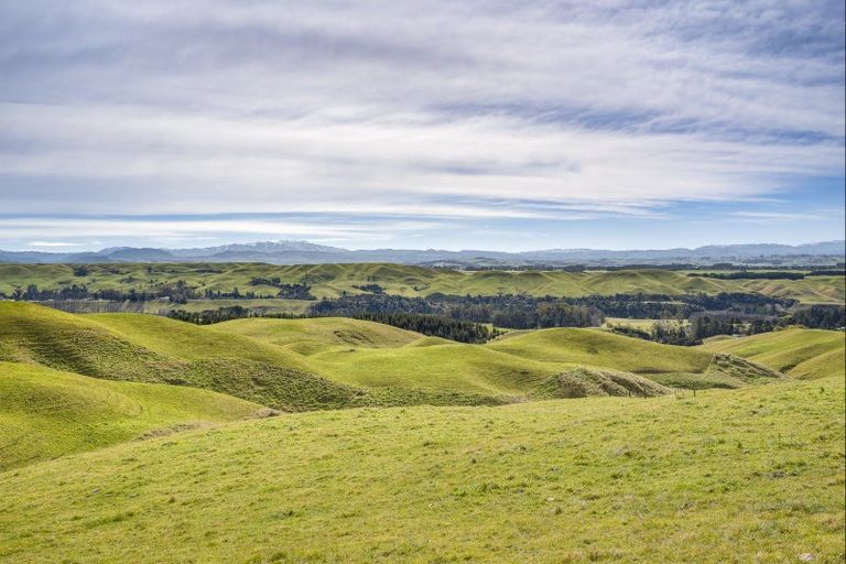 Photo of property in 1233 Kereru Road, Maraekakaho, Hastings, 4171
