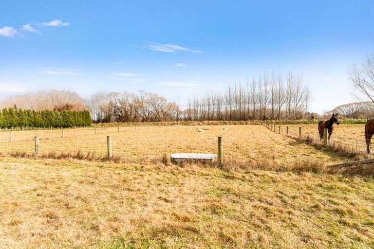 Photo of property in 21 Grant Street, Temuka, 7920