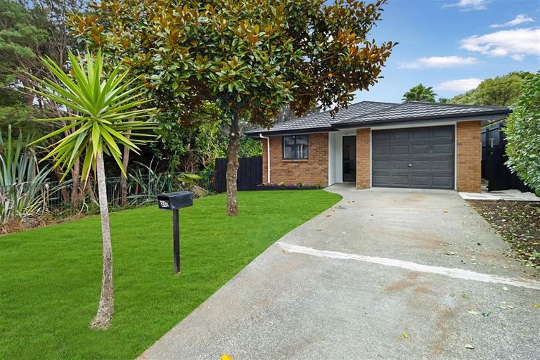 Photo of property in 21a Chelmsley Avenue, Henderson, Auckland, 0612