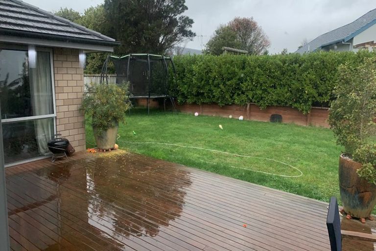 Photo of property in 47 Cumberland Drive, Flagstaff, Hamilton, 3210