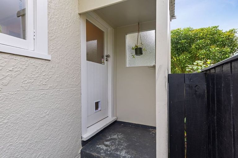Photo of property in 17 Salisbury Avenue, Terrace End, Palmerston North, 4410