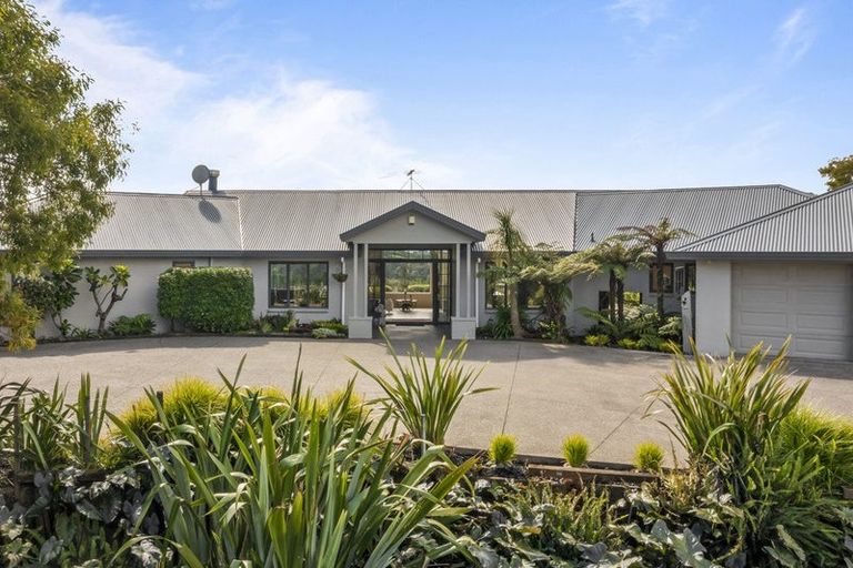 Photo of property in 77 Tender Road, Dairy Flat, Albany, 0794