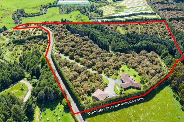 Photo of property in 237b Busby Road, Tahawai, Katikati, 3170