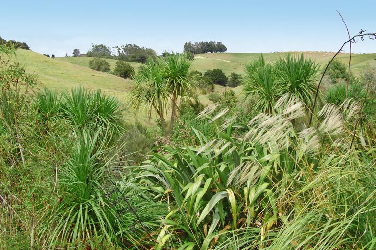 Photo of property in 126 Oneriri Road, Kaiwaka, 0573