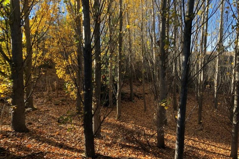 Photo of property in 70 Gilligans Gully Road, Alexandra, 9320