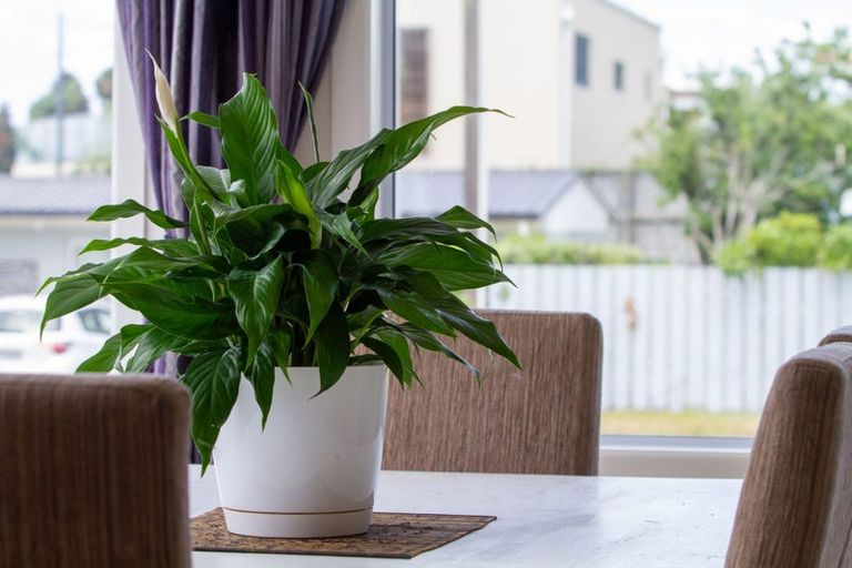 Photo of property in 45 Dillon Street, Waihi Beach, 3611