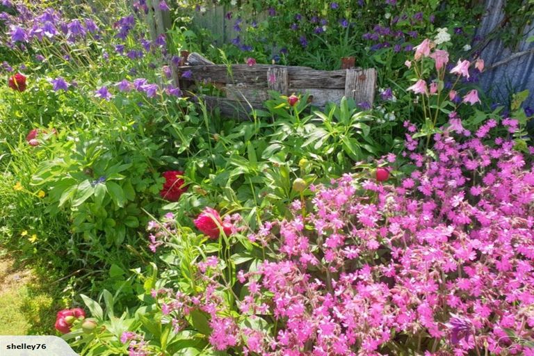 Photo of property in 27 Main Road, Owaka, 9535