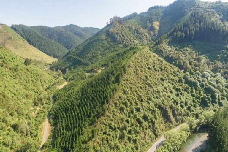 Photo of property in 641 Aniseed Valley Road, Aniseed Valley, Richmond, 7081