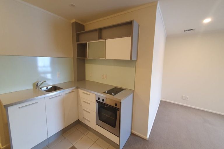 Photo of property in Luna Apartments, 1n/16 Burton Street, Grafton, Auckland, 1010
