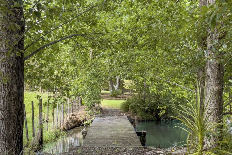 Photo of property in 39 Sunnyside Road, Coatesville, Albany, 0793