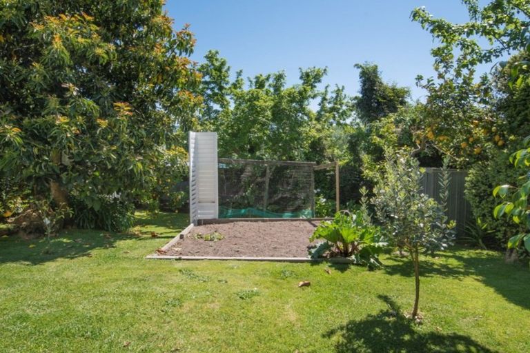 Photo of property in 41 Cameron Road, Te Puke, 3119